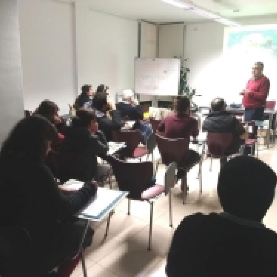 Curso de Castaño