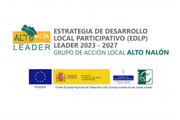 Consulta Estrategia Desarrollo Local Parcipativo